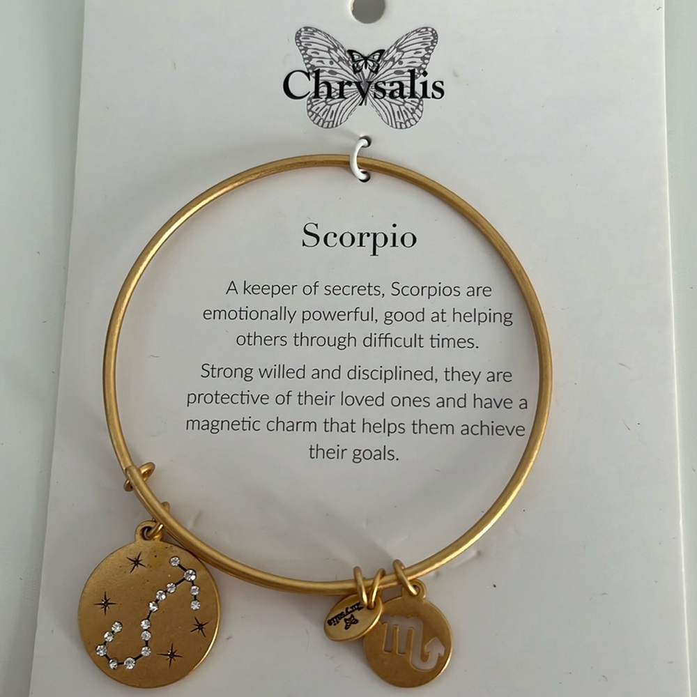 Ladies Scorpio Bracelet